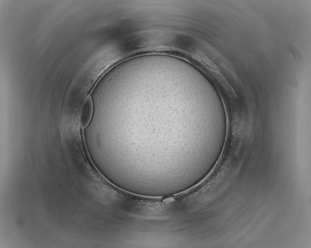 X0000115271273200911131800