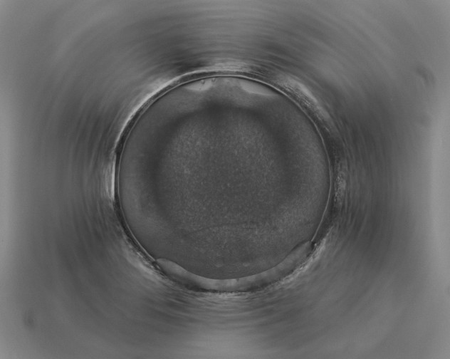 X0000115271276200911131800