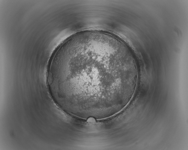 X0000115271277200911131800