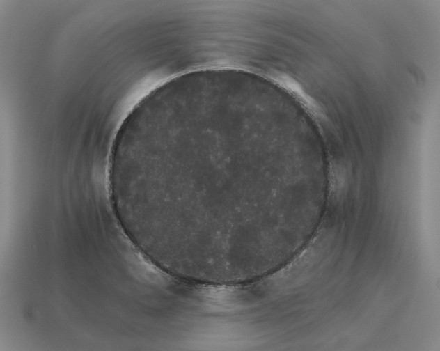 X0000115271278200911131800