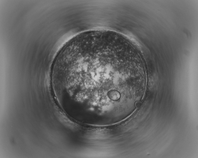 X0000115271279200911131800