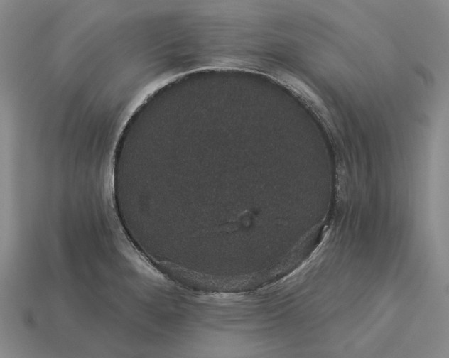 X0000115271280200911131759