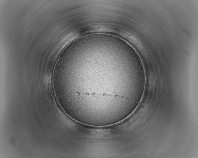 X0000115271281200911131759