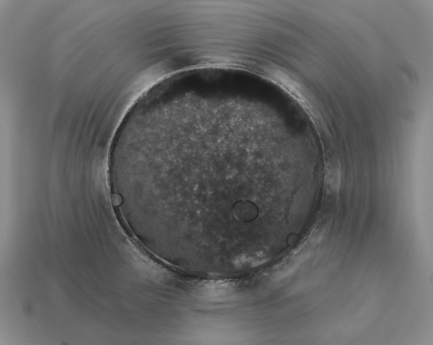 X0000115271283200911131759