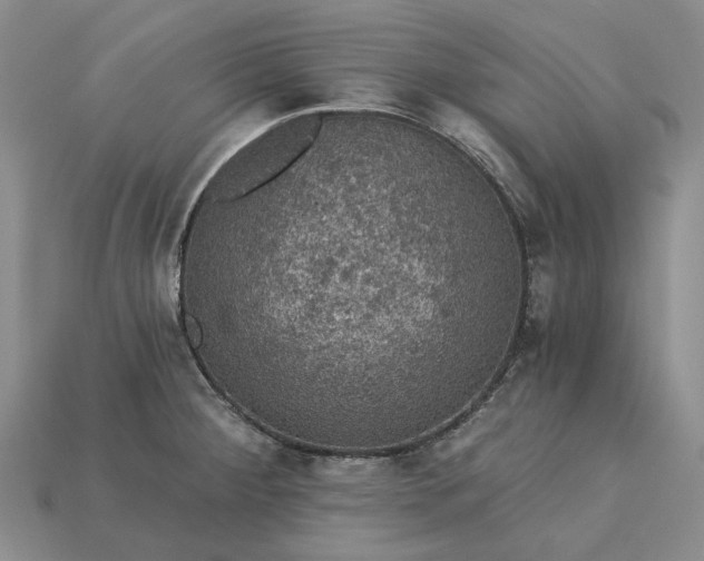X0000115271284200911131759