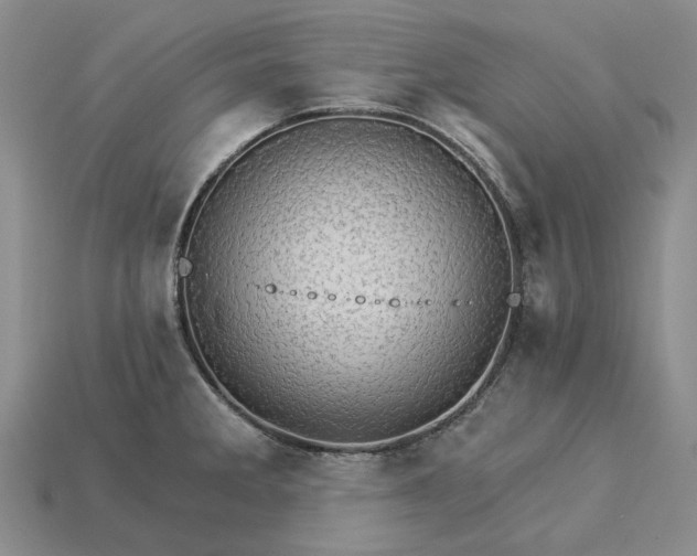 X0000115271285200911131759
