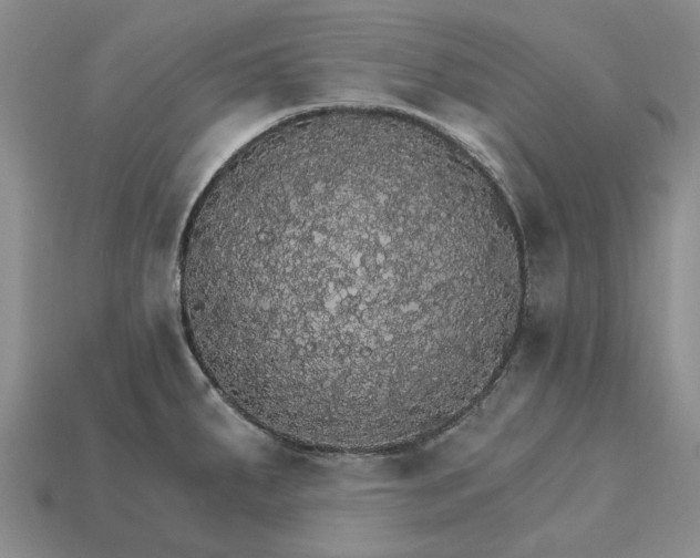 X0000115271287200911131759