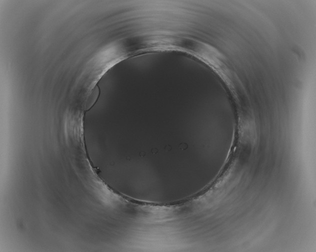 X0000115271289200911131759