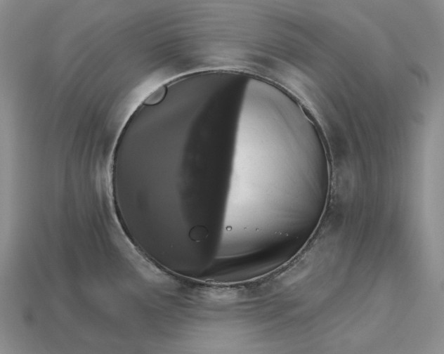 X0000115271291200911131759