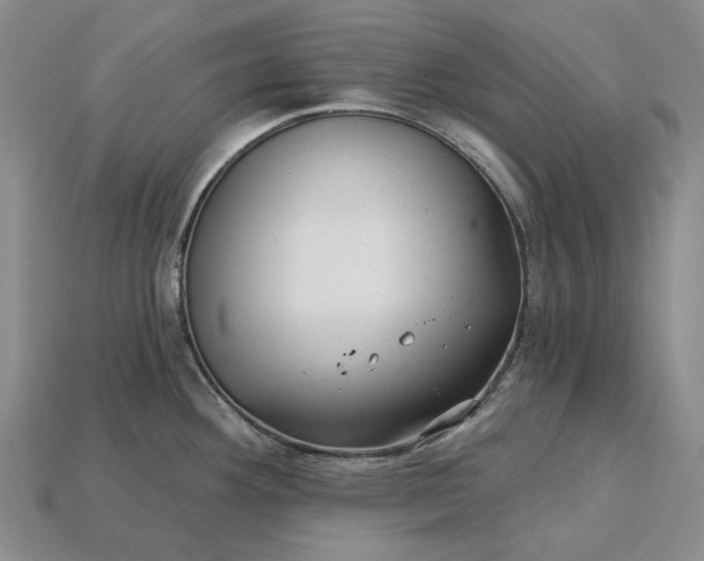 X0000115271292200911131759