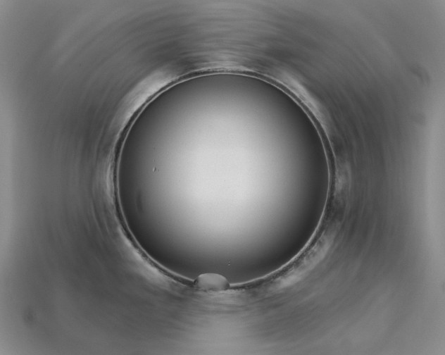 X0000115271293200911131759
