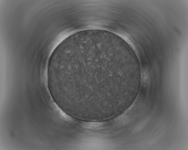 X0000115271294200911131759