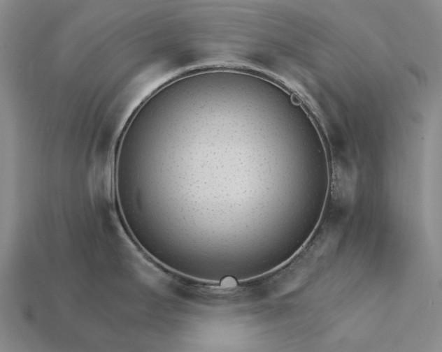 X0000115271295200911131759