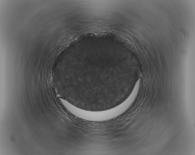 X0000115271298200911131759