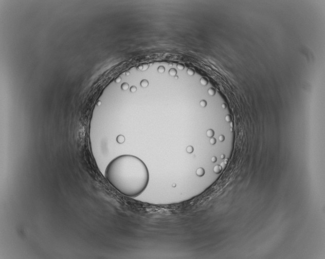 X0000115271302200911131759