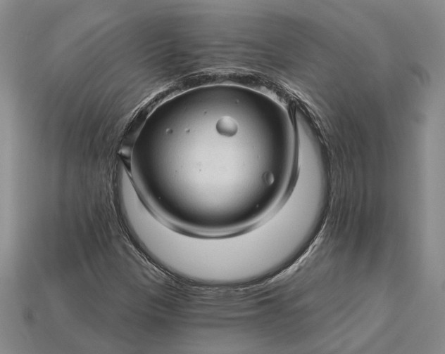 X0000115271305200911131759