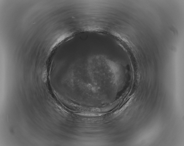 X0000115271306200911131759