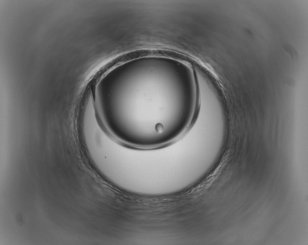 X0000115271311200911131759