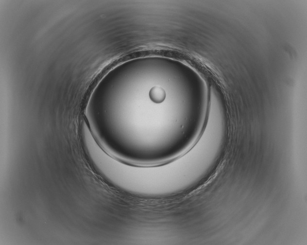 X0000115271313200911131759