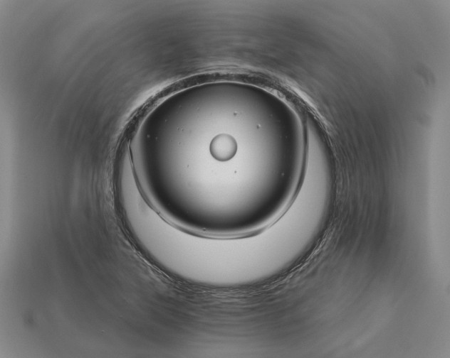 X0000115271315200911131759