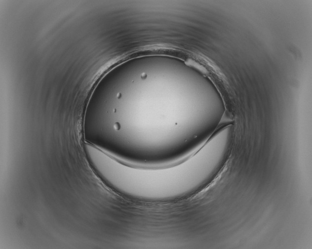 X0000115271321200911131759