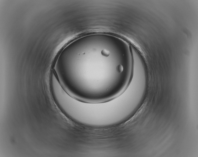 X0000115271325200911131759