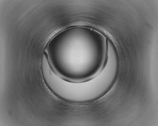 X0000115271329200911131759