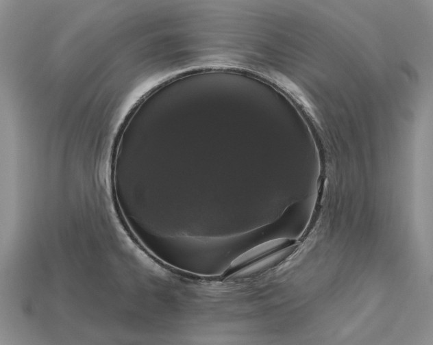 X0000115271334200911131759