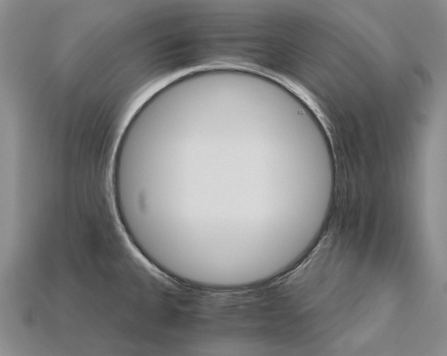 X0000115271335200911131759