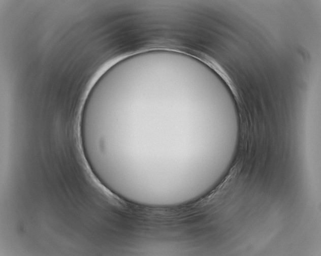 X0000115271339200911131759