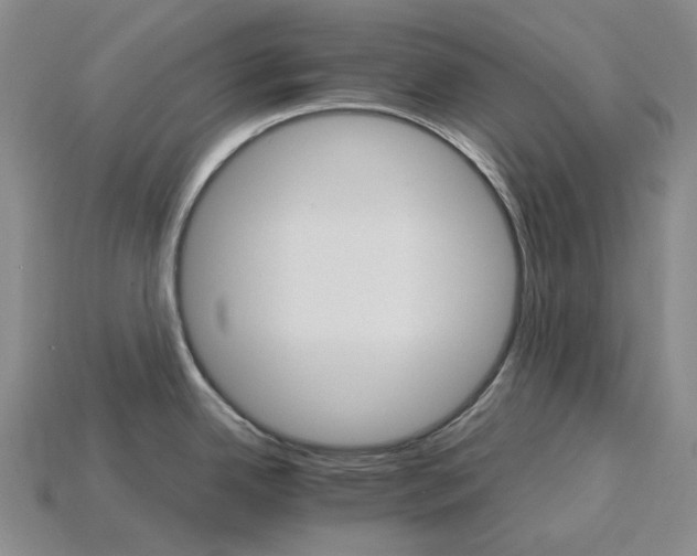 X0000115271342200911131759
