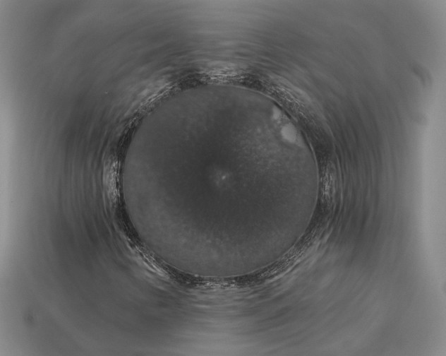 X0000115271346200911131759