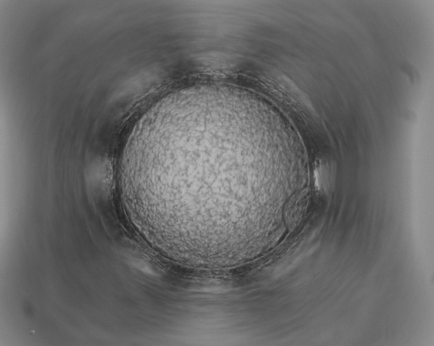 X0000115271347200911131759