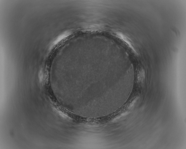 X0000115271350200911131759