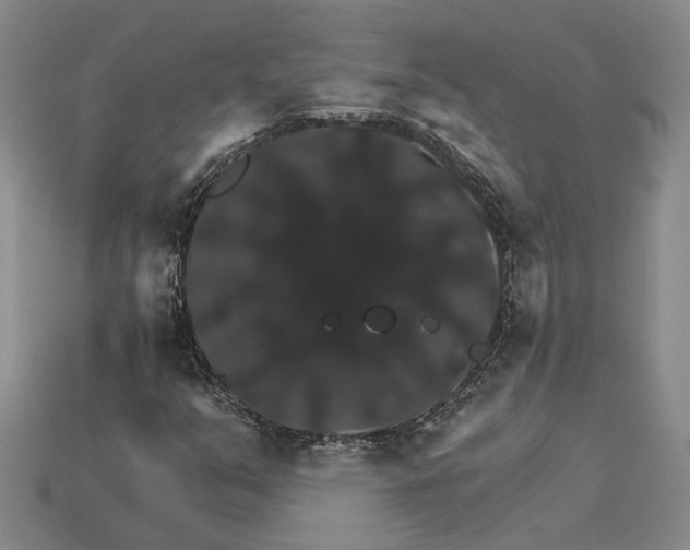 X0000115271351200911131759