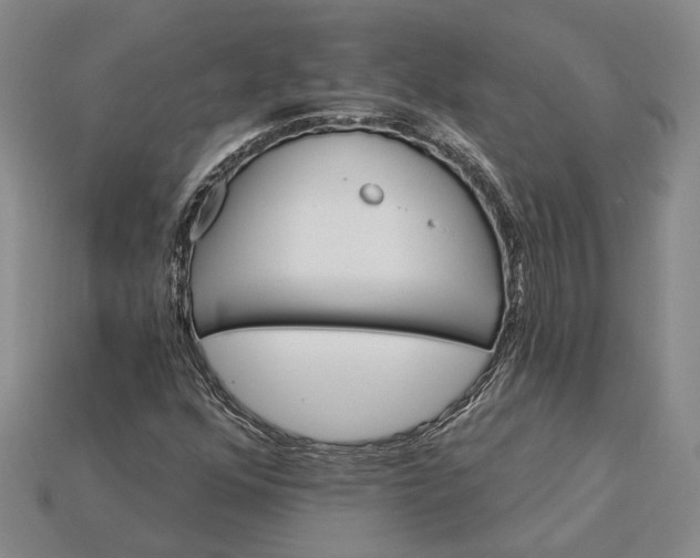 X0000115271352200911131759