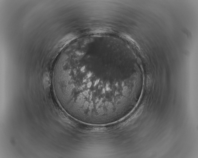 X0000115271353200911131759