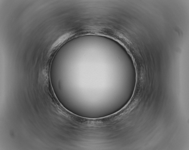 X0000115271354200911131759