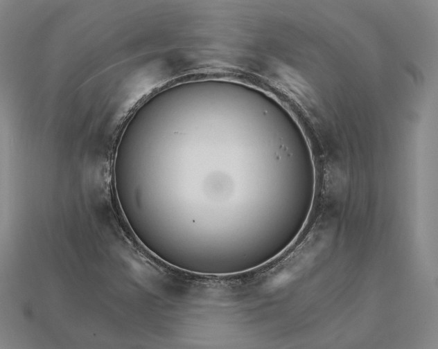 X0000115271355200911131759