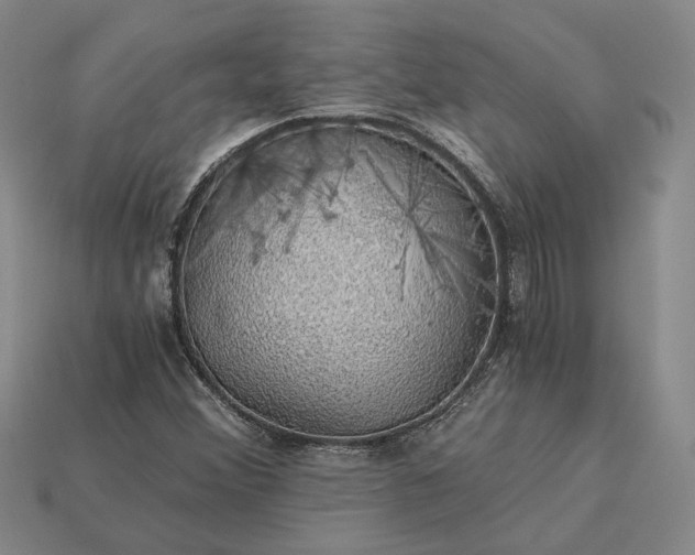 X0000115271356200911131759