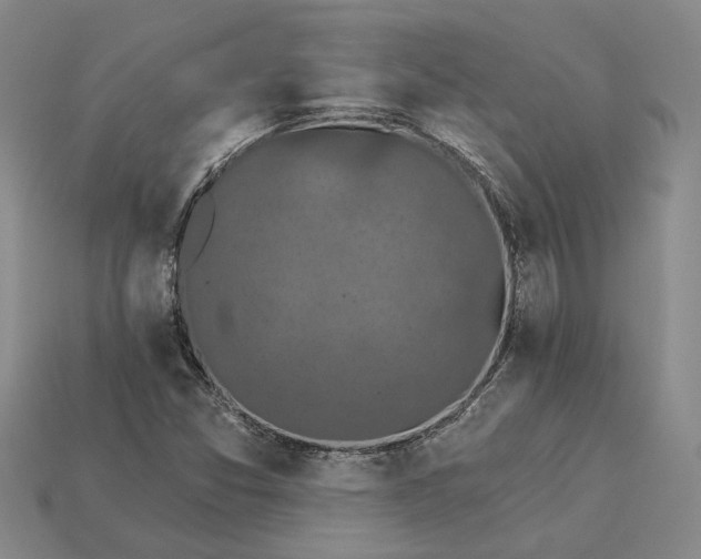 X0000115271357200911131759
