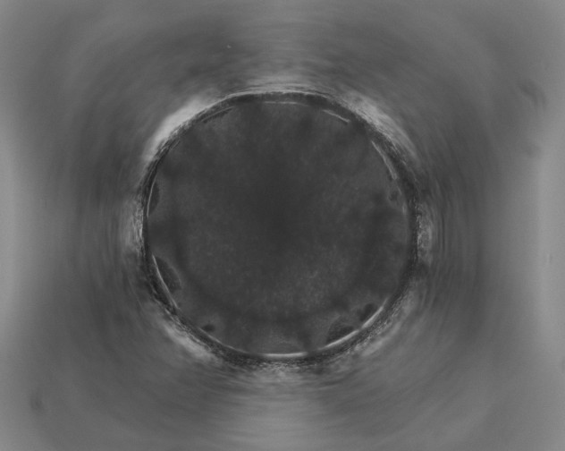 X0000115271358200911131758