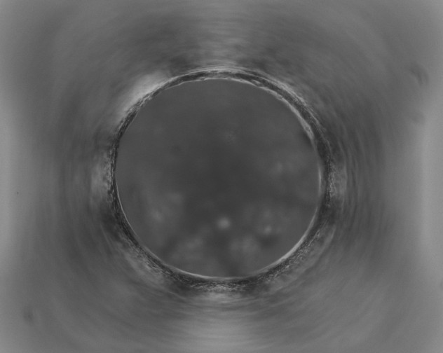 X0000115271359200911131758
