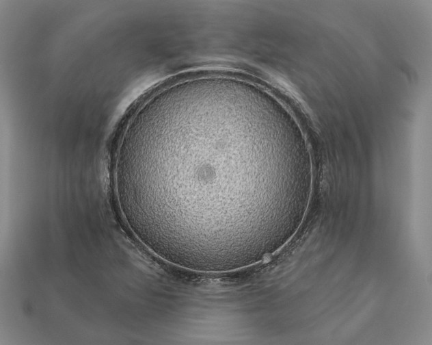 X0000115271360200911131758