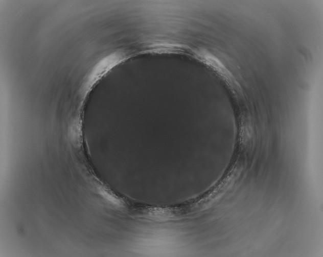 X0000115271362200911131758