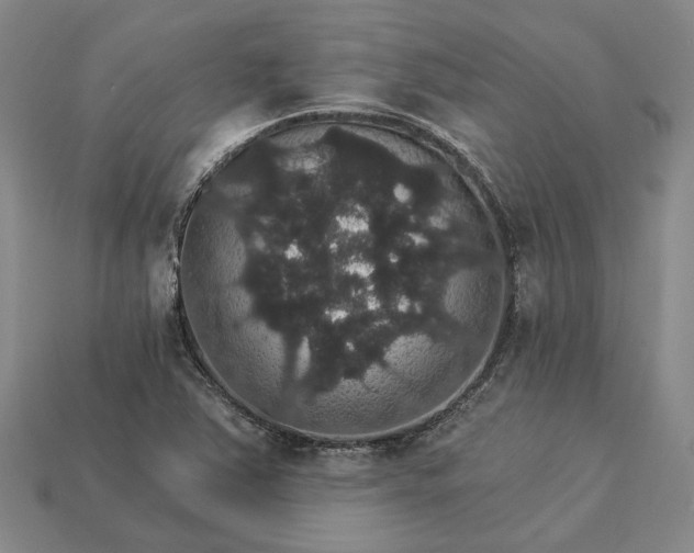 X0000115271363200911131758