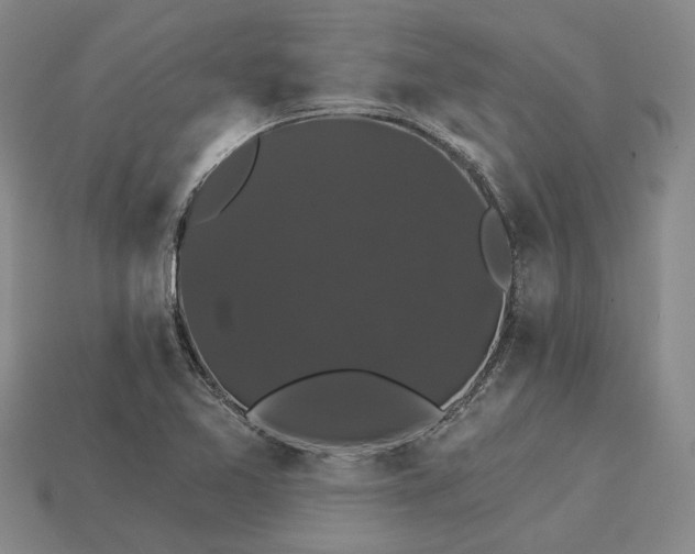 X0000115271365200911131758