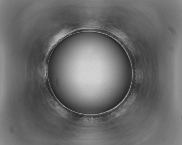 X0000115271366200911131758