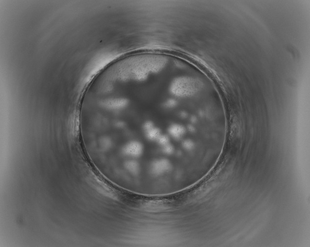 X0000115271367200911131758
