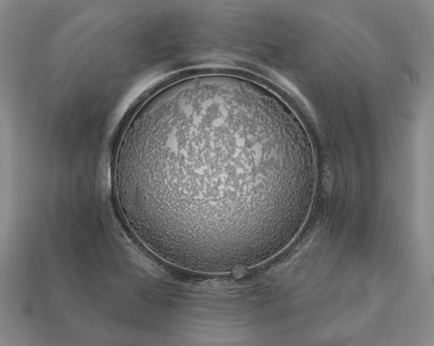 X0000115271368200911131758